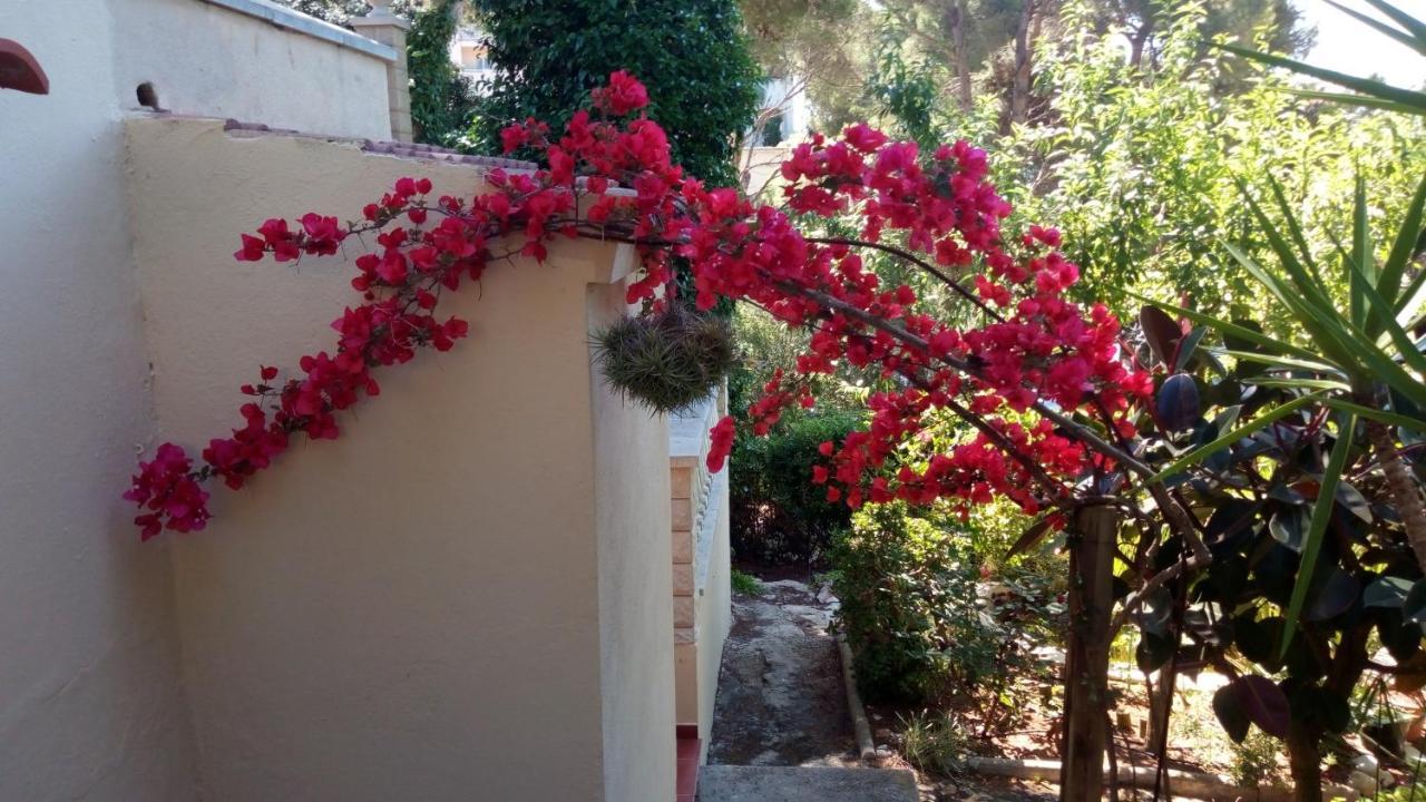 Casa Montse Villa Cala Galdana  Kültér fotó