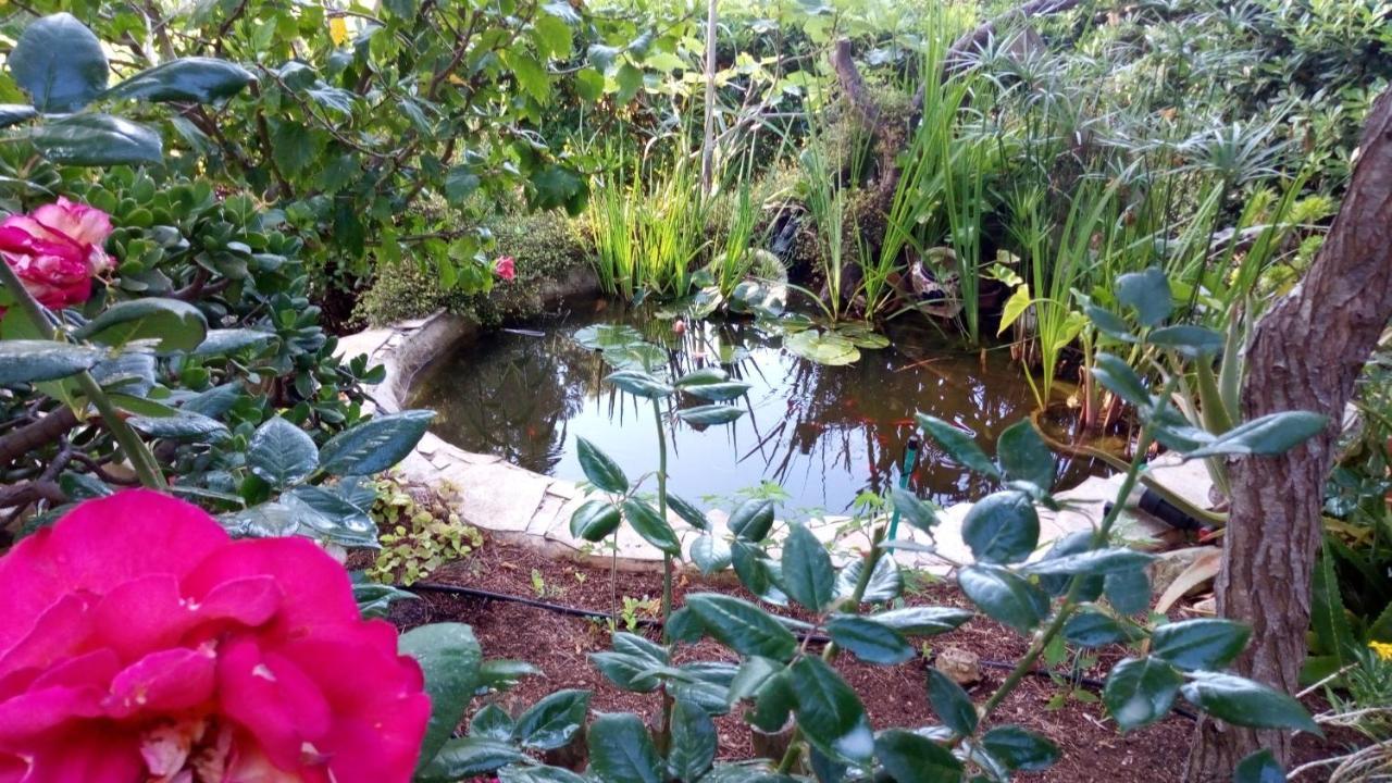 Casa Montse Villa Cala Galdana  Kültér fotó